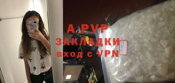 СК Богородск
