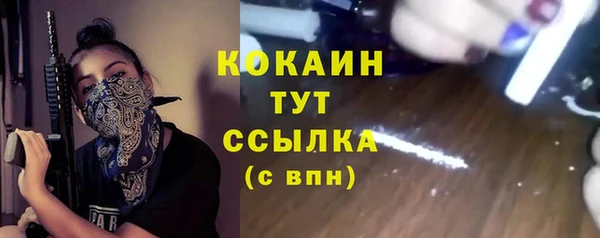 СК Богородск