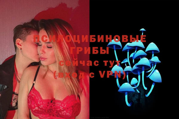 дурь Богданович