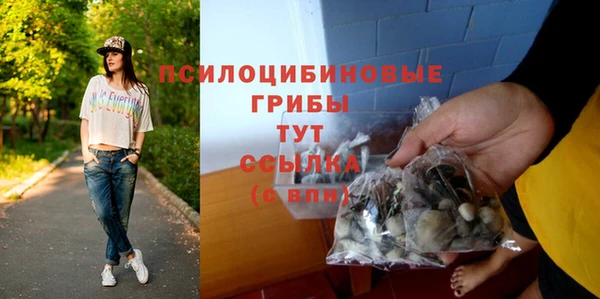 дурь Богданович