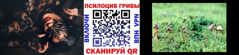 Псилоцибиновые грибы MAGIC MUSHROOMS  Меленки 